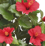 19" Faux Hibiscus Bush ( FBH371-Red )