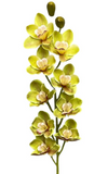 36'' Natural Touch Cymbidiu Orchid ( INT054-Green )