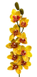 36'' Natural Touch Cymbidiu Orchid ( INT054-Yellow )
