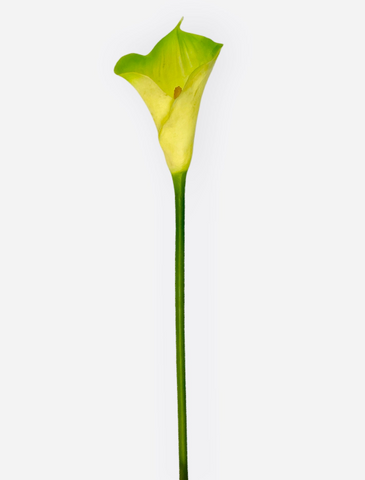 30”  Real Touch Calla Lily Spray ( INT928-Yellow Green )