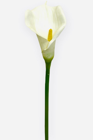 30”  Real Touch Calla Lily Spray ( INT928-Cream )