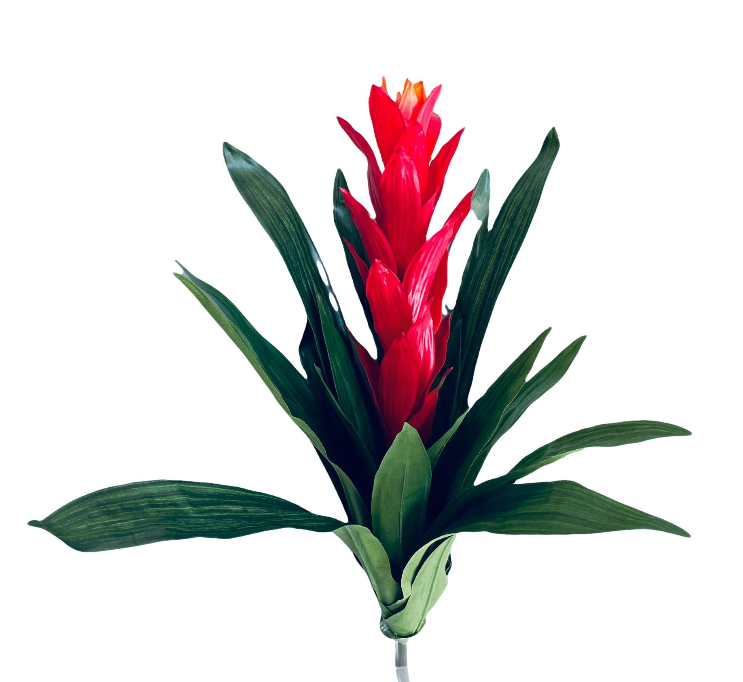 21" Real Touch Faux Guzmania Plant ( FSG509-FL/TT )