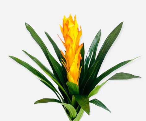 21" REAL TOUCH FAUX GUZMANIA PLANT ( FSG509-YR/TT )