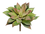 6.5" Echeveria Pick ( CE4206-Green Fuchsia )