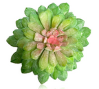 6'' Lotus Succulent Pick ( 142865-Green/Pink )