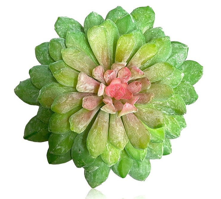 6'' Lotus Succulent Pick ( 142865-Green/Pink )