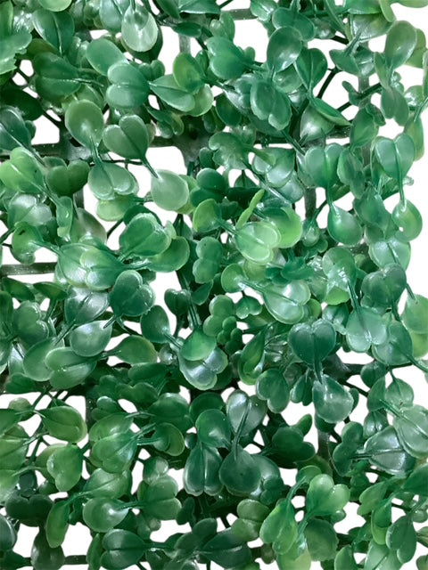 24''x16'' Boxwood Mat ( SGB61-108 )