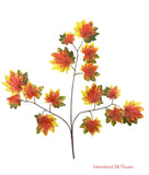22'' Maple Leaf ( 83174-YL/GR )