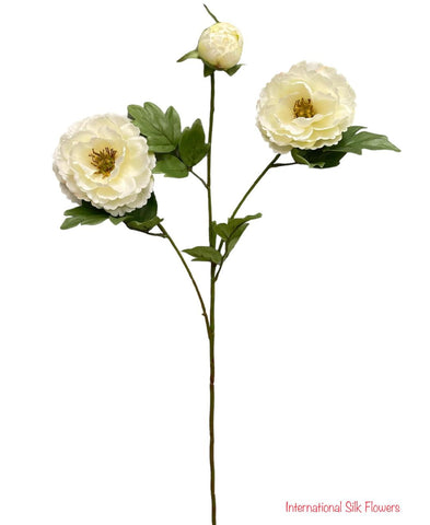 28'' Single Stem Peony ( 31580-Cream White )