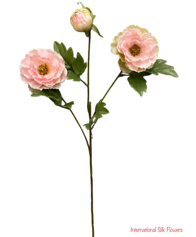 28'' Single Stem Peony ( 31580-Blush Pink )