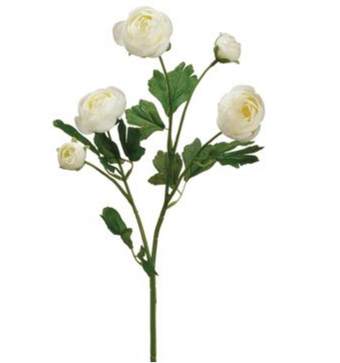 20” Silk Ranunculus Spray ( FSR291-WH )