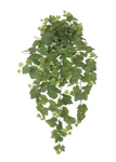 36'' Faux Grape Ivy Greenery Bush ( BHF628-GR )