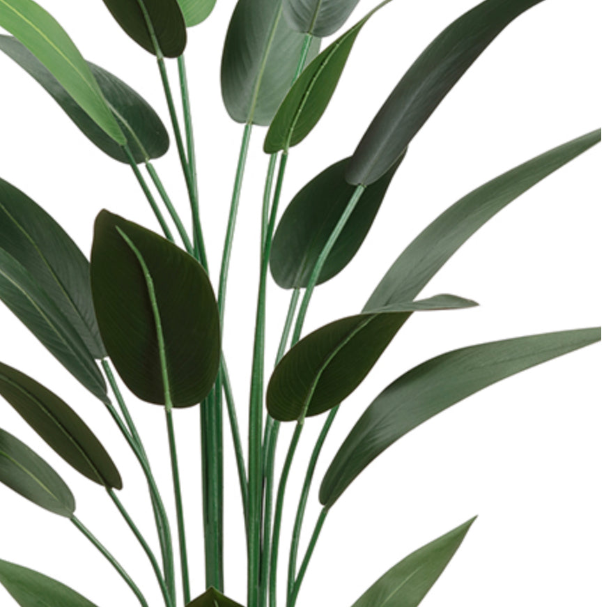 4.8’ Faux Bird of Paradise Plant ( LPB185-GR )