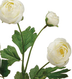 20” Silk Ranunculus Spray ( FSR291-WH )