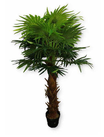 6’ Real Touch New Fan Palm Tree ( INT8020-27-1TS )