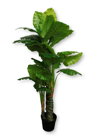 7.5’ Faux Real Touch Taro Tree ( INT8059-26-3PS )