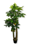 6.5’ Faux Real Touch Paw Paw Tree ( INT8452-29-12 )