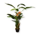 5’ Artificial Bird of Paradise Plant ( INT8498-16 )