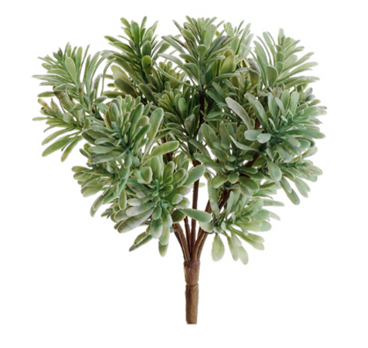 9" Plastic Succulent Grass Bush ( PBG887-GR )