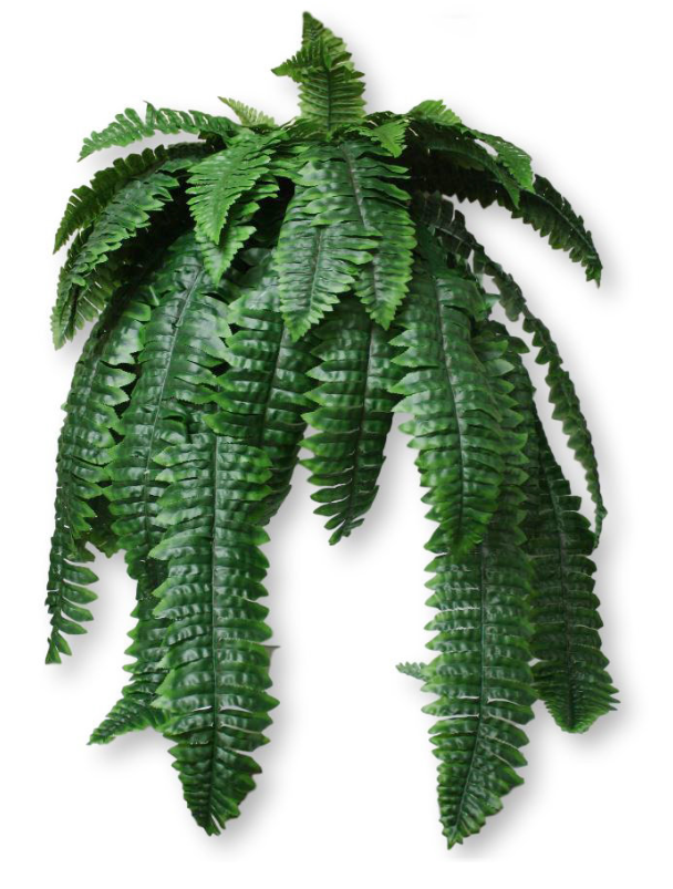 artificial boston fern hanging plants Los Angeles Wholesaler | 36" Artificial Boston Fern Leaf Bush ( GB762 )-  International Silk Flowers