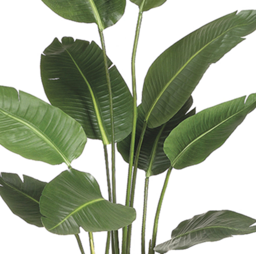 5’ Faux Bird of Paradise Plant ( LTB605-GR )