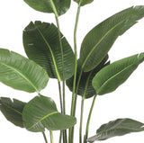 5’ Faux Bird of Paradise Plant ( LTB605-GR )