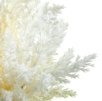 14” Faux Pampas’s Grass ( FBQ151-Ivory )