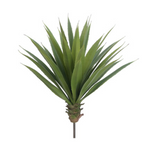 Agave Plant ( PPA701-GR )