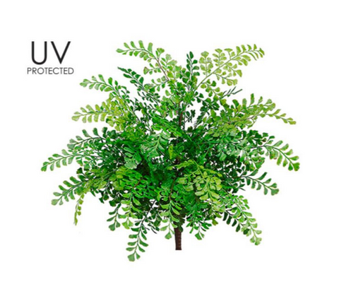 19" UV Protected Maidenhair Fern Bush ( PBF419-GR )
