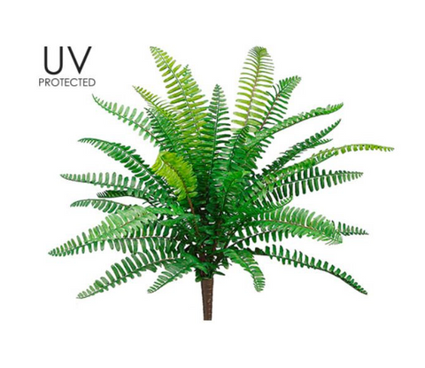 19" UV Protected Boston Fern Bush ( PBF426 )