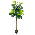 5.4’ Faux Real Touch Fiddle Leaf Plant ( INT8253-6 )