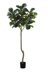 7' Silk Fiddle Leaf Tree ( LTF156-GR )