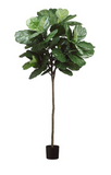 7' Artificial Fiddle Leaf Fig Tree ( LTF257-GR )