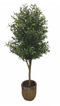 5.5’  Artificial Olive Tree ( WT4934 )
