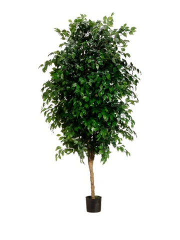 7’ Artificial Ficus Tree ( LTF837-GR )