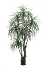 7’ Artificial Yucca Tree ( LTY224-GR )