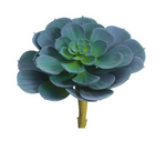 5'' Soft Plastic Echeveria Pick ( CM4406 )