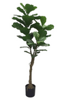 5' Real Touch Fiddle Leaf Tree ( INT180904 )