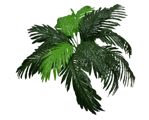 Palm Bush ( GB11 )