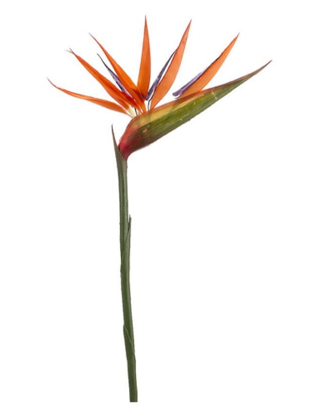 36" Plastic Bird of Paradise Flower Spray ( 161001 )