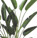 7.10’ Faux Bird Of Paradise Plant ( LZB608 )