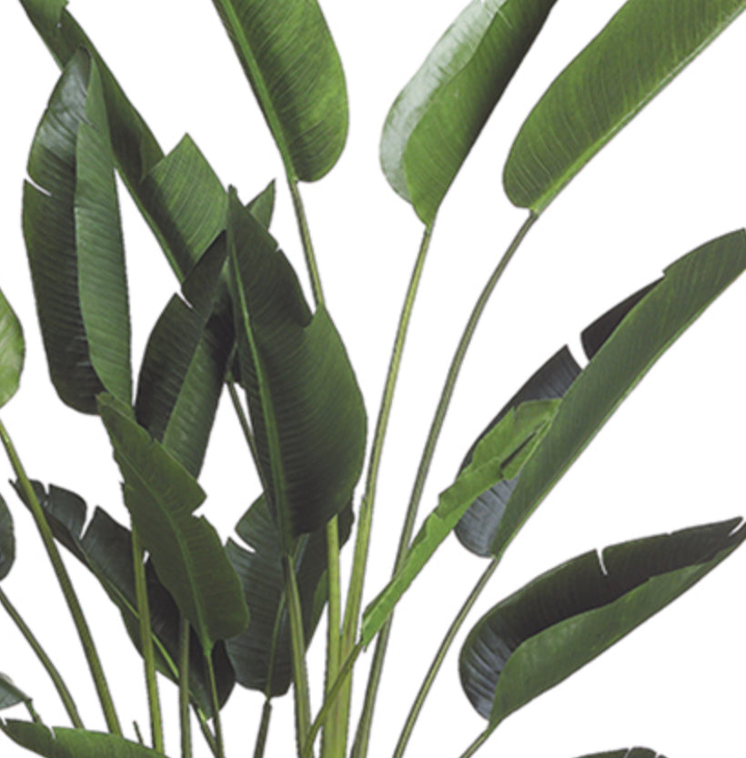 7.10’ Faux Bird Of Paradise Plant ( LZB608 )