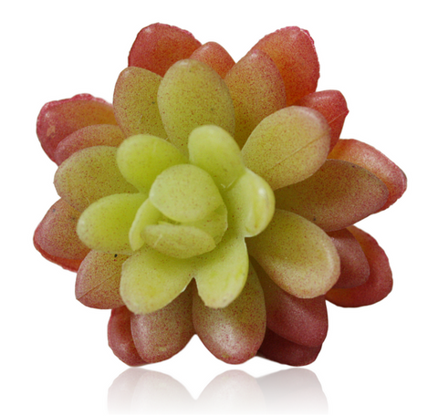 4" Plastic Succulent Pick ( CP362-GPK )