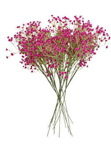 24” Faux Plastic Baby’s Breath ( SS999-Fushia )