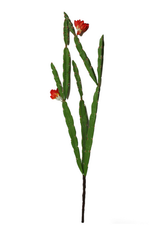 23" Christmas Cactus Stem ( CC9615-RE/GR )