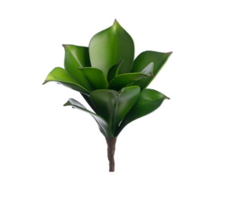 8" Mini Sanseveria Plant  ( CA0308-DK/GR )