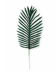 27'' Palm Leaf  ( GB20 )