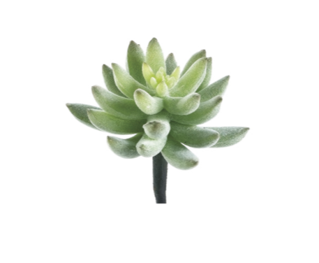 4'' Mini Agave Pick Flocked ( CA9363-GR/FK )