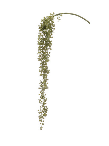 30″ Hanging Succulent Spray ( CS2092-GR )