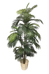 6’ Artificial Areca Palm Tree ( TAP653 )